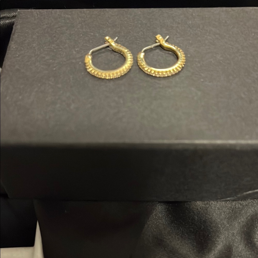 Elegant Gold Hoop Earrings